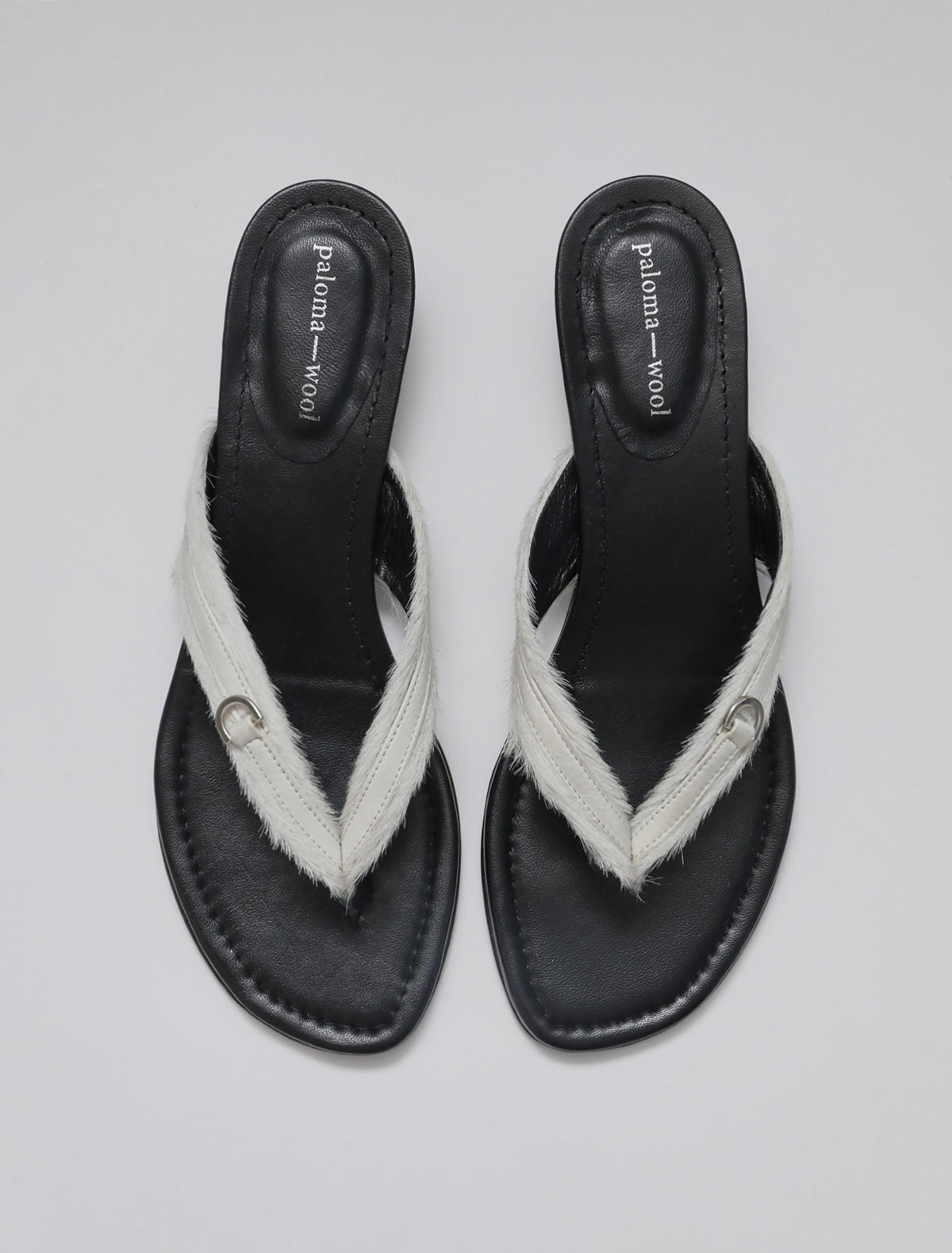 no 2543 / Felipa