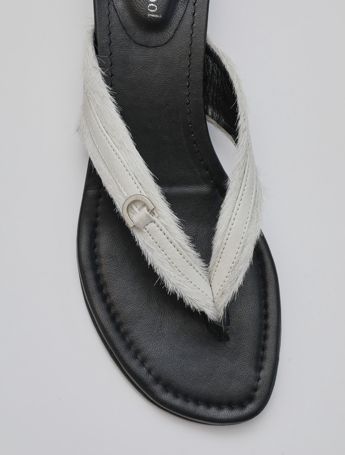no 2543 / Felipa