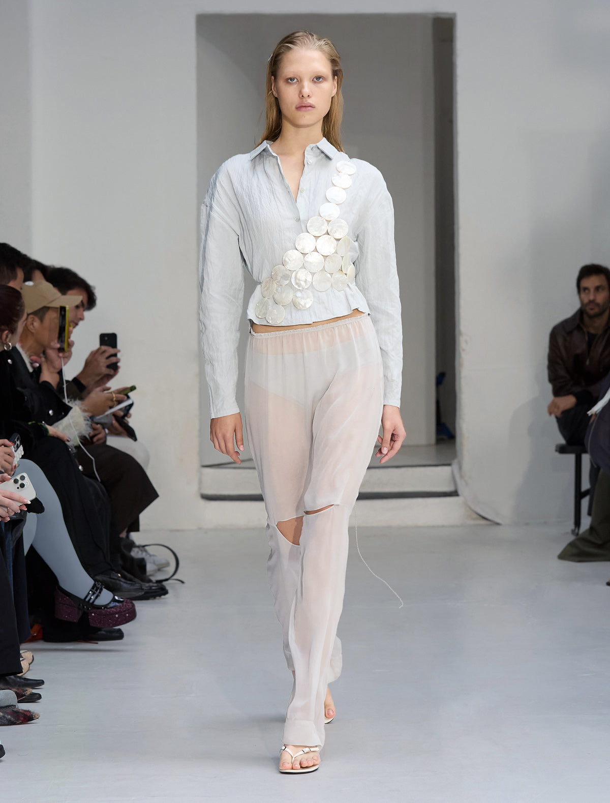 no 2404 / Silk Simonetta
